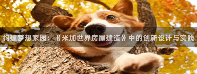 安信信托12 期