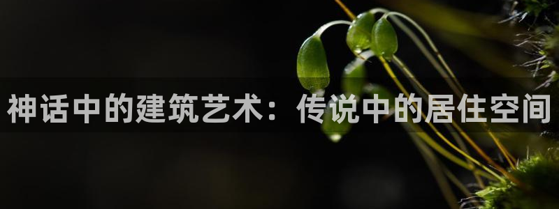安信12娱乐7o777还：神话中的建筑艺术：传说中的居住空间