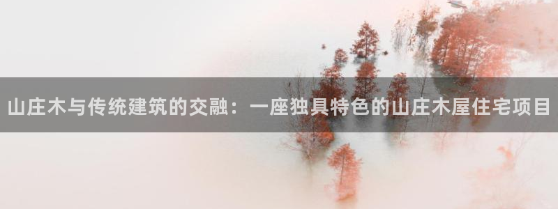 安信12专用挂机