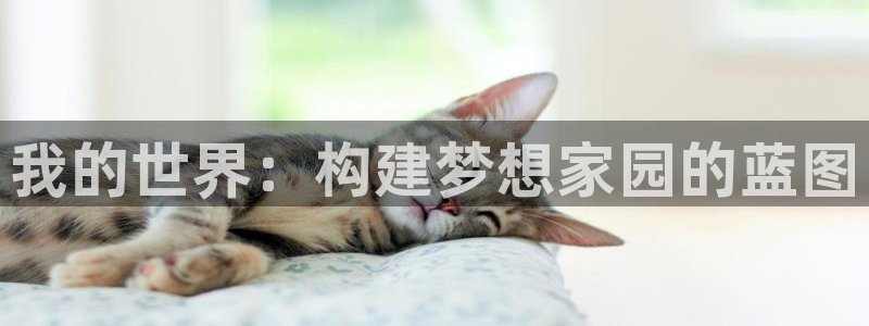 安信12注册代理：我的世界：构建梦想家园的蓝图