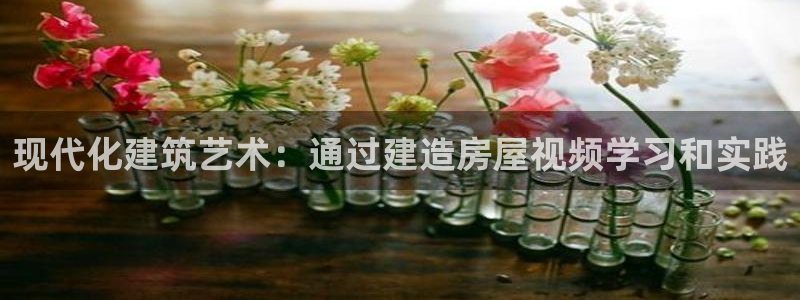 安信地板12mm：现代化建筑艺术：通过建造房屋视频学习和实践