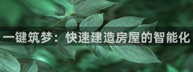 安信12娱乐登录：一键筑梦：快速建造房屋的智能化