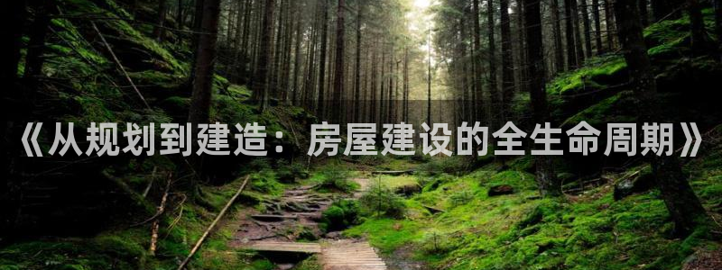 安信12平台开户：《从规划到建造：房屋建设的全生命周期》