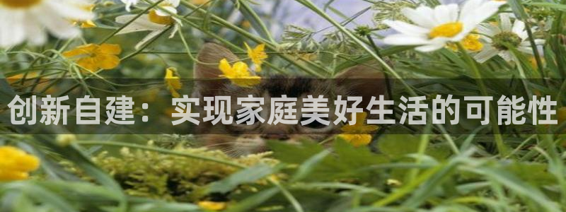 安信cw12系列：创新自建：实现家庭美好生活的可能性