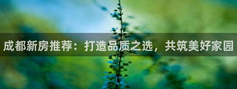 安信可12e12f：成都新房推荐：打造品质之选，共筑美好家园