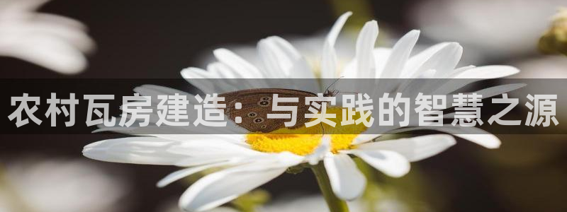 安信可f12：农村瓦房建造：与实践的智慧之源