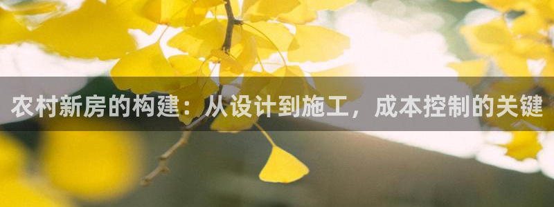 安信12靠谱吗：农村新房的构建：从设计到施工，成本控制的关键