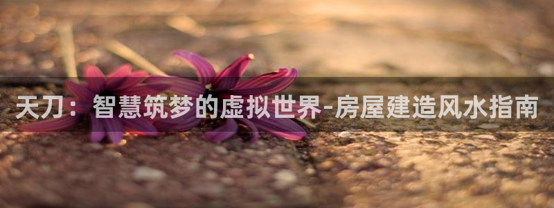 安信12娱乐登录：天刀：智慧筑梦的虚拟世界-房屋建造风水指南