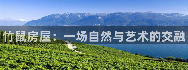 安立信12改装：竹鼠房屋：一场自然与艺术的交融