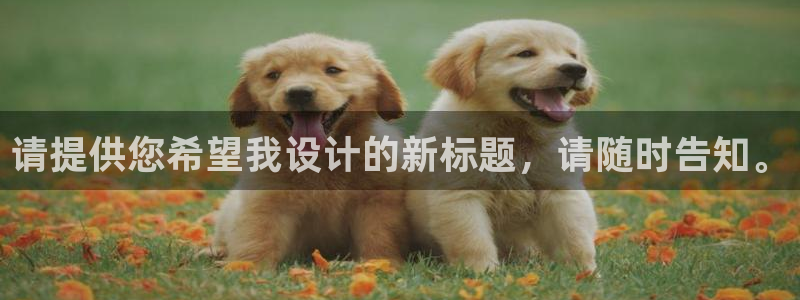 安信安盈12最新消息：请提供您希望我设计的新标题，请随时告知。