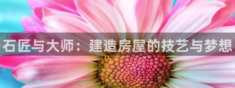 安信12娱乐招商探索空间：石匠与大师：建造房屋的技艺与梦想