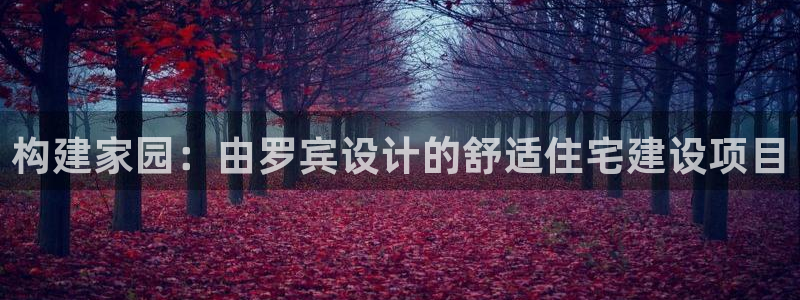 安信12登录：构建家园：由罗宾设计的舒适住宅建设项目