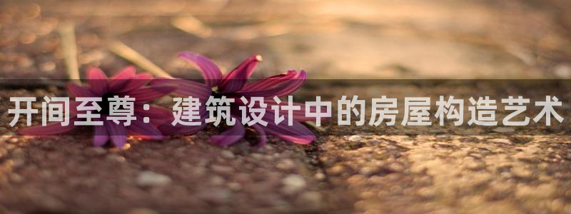 安信12怎么注册：开间至尊：建筑设计中的房屋构造艺术