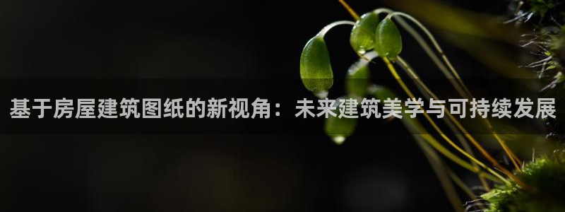 安信12娱乐：基于房屋建筑图纸的新视角：未来建筑美学与可持续发展