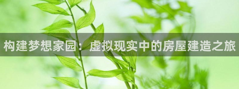 安信娱乐12登录地址：构建梦想家园：虚拟现实中的房屋建造之旅