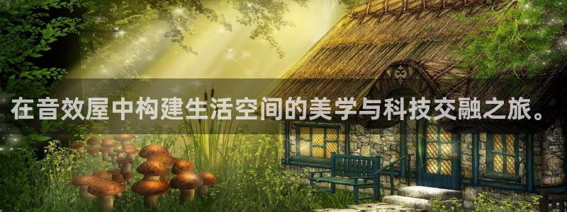 安信12包赔：在音效屋中构建生活空间的美学与科技交融之旅。