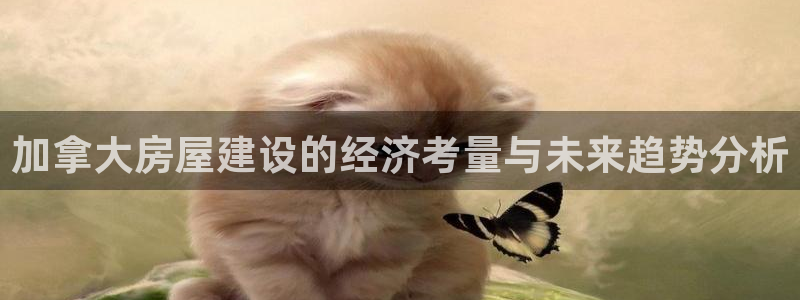 安信12娱乐注册：加拿大房屋建设的经济考量与未来趋势分析