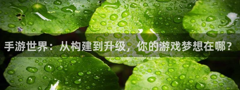 安信12周年庆
