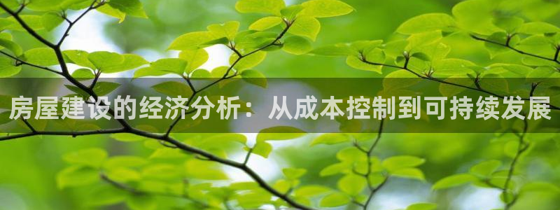 安信12是正规还是仿