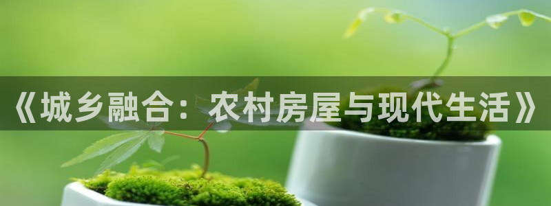 安信12周年：《城乡融合：农村房屋与现代生活》