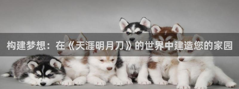安信12平台官网