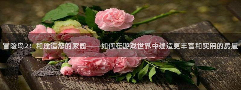 安信12是什么：冒险岛2：和建造您的家园——如何在游戏世界中建造更丰富和实用的房屋