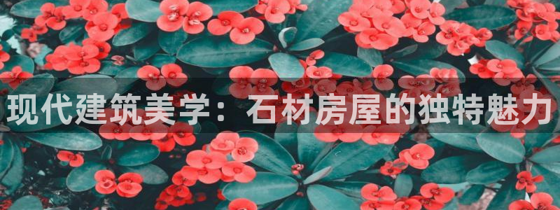 安立信T12测评：现代建筑美学：石材房屋的独特魅力