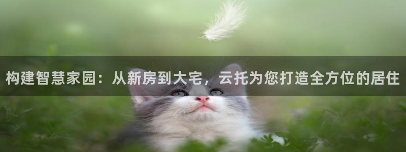 安信12专用挂机：构建智慧家园：从新房到大宅，云托为您打造全方位的居住