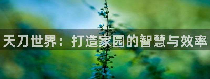 安信12代理：天刀世界：打造家园的智慧与效率