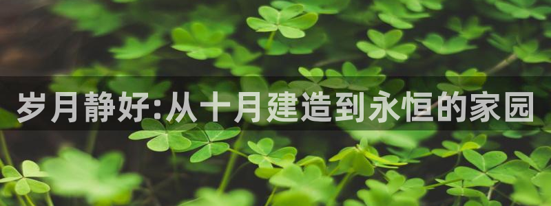 信安杯12：岁月静好:从十月建造到永恒的家园