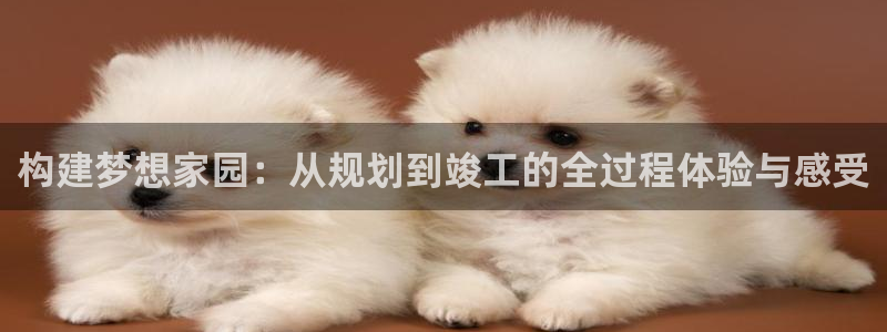 安信12如何开代理：构建梦想家园：从规划到竣工的全过程体验与感受