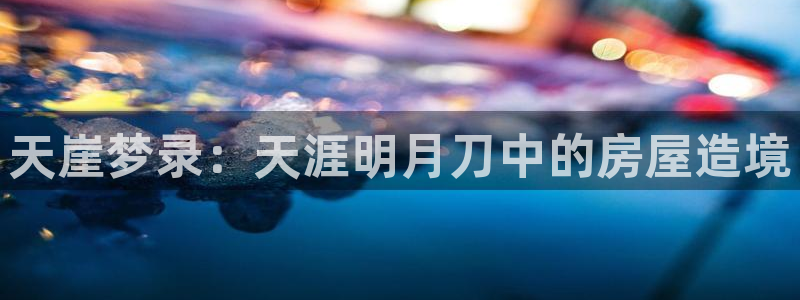 安信12主管：天崖梦录：天涯明月刀中的房屋造境