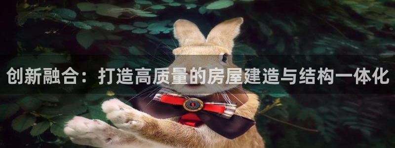 安信12是啥：创新融合：打造高质量的房屋建造与结构一体化
