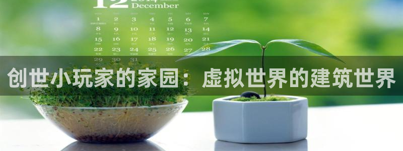 安信12专用挂机：创世小玩家的家园：虚拟世界的建筑世界