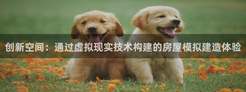 安信12网站：创新空间：通过虚拟现实技术构建的房屋模拟建造体验