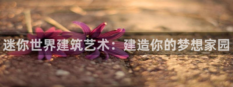 安信锐赢134号12月