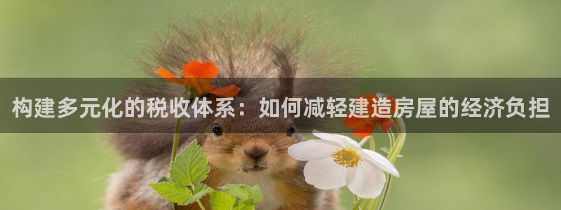 安信12：构建多元化的税收体系：如何减轻建造房屋的经济负担