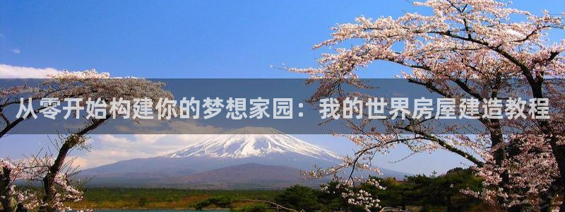 安信12官方下载：从零开始构建你的梦想家园：我的世界房屋建造教程