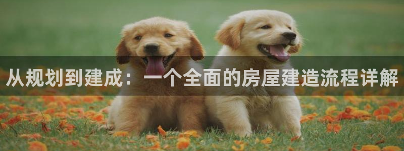 安信安赢12号:从规划到建成:一个全面的房屋建造流程详解