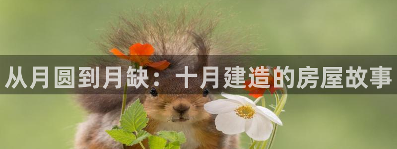 安信可esp-12:从月圆到月缺:十月建造的房屋故事