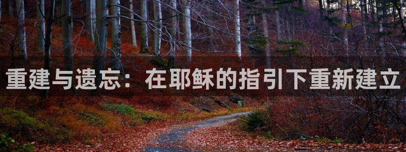 安信t12：重建与遗忘：在耶稣的指引下重新建立