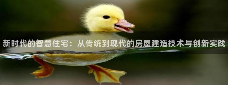 安信12级：新时代的智慧住宅：从传统到现代的房屋建造技术与创新实践