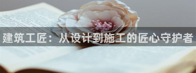 安信12是什么软件：建筑工匠：从设计到施工的匠心守护者