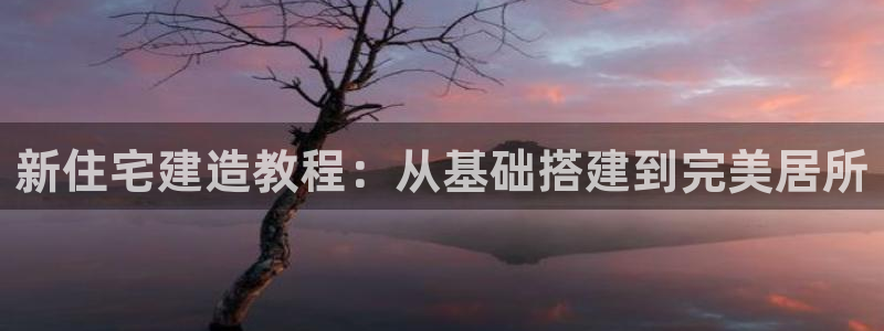 安信可wb12：新住宅建造教程：从基础搭建到完美居所