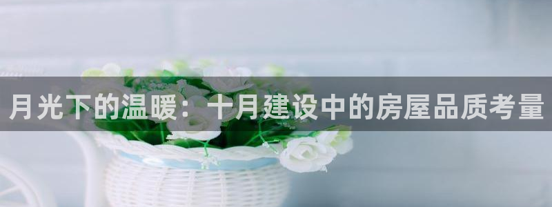 安信12平台怎么样：月光下的温暖：十月建设中的房屋品质考量