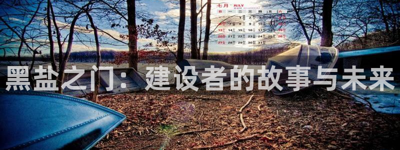 安信可esp-12：黑盐之门：建设者的故事与未来