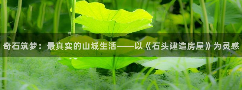安信12级粉丝团福利：奇石筑梦：最真实的山城生活——以《石头建造房屋》为灵感