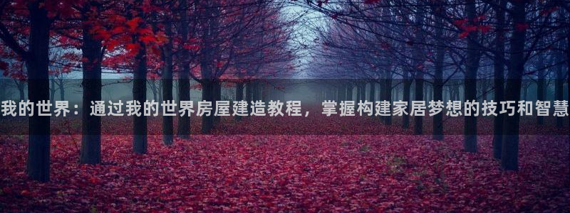 安信12想开户：我的世界：通过我的世界房屋建造教程，掌握构建家居梦想的技巧和智慧