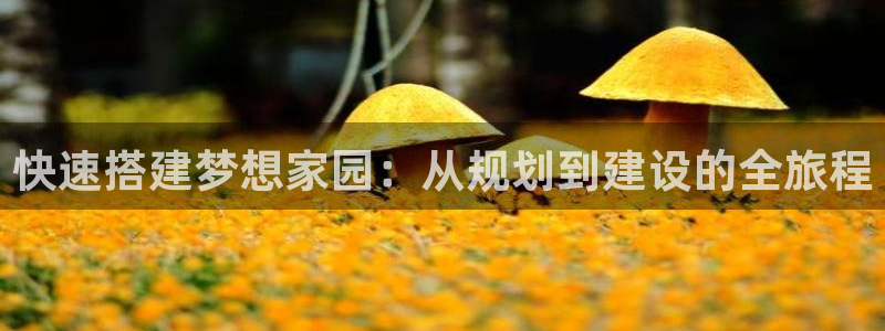 安信4特邀55 12：快速搭建梦想家园：从规划到建设的全旅程