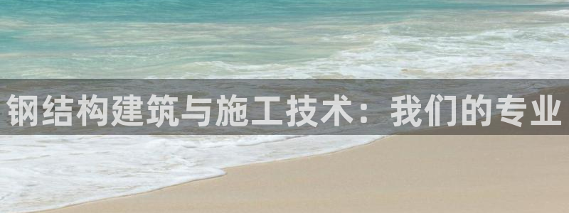 安信12官方网站查询：钢结构建筑与施工技术：我们的专业